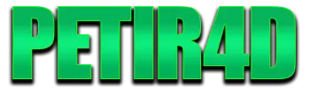Logo PETIR4D